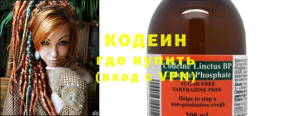 apvp Гусев