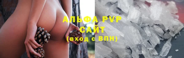 дживик Гусь-Хрустальный