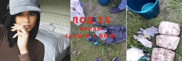 a pvp Дмитровск