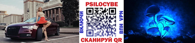 Псилоцибиновые грибы Psilocybe  Щёлкино 